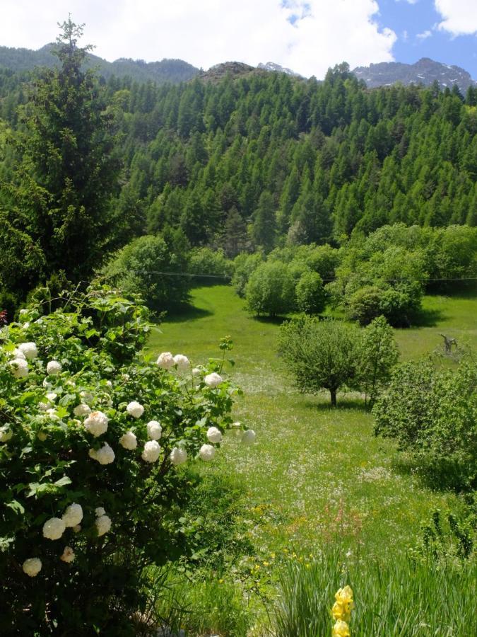 Les Voutes Du Chambon Leilighet Champcella Eksteriør bilde